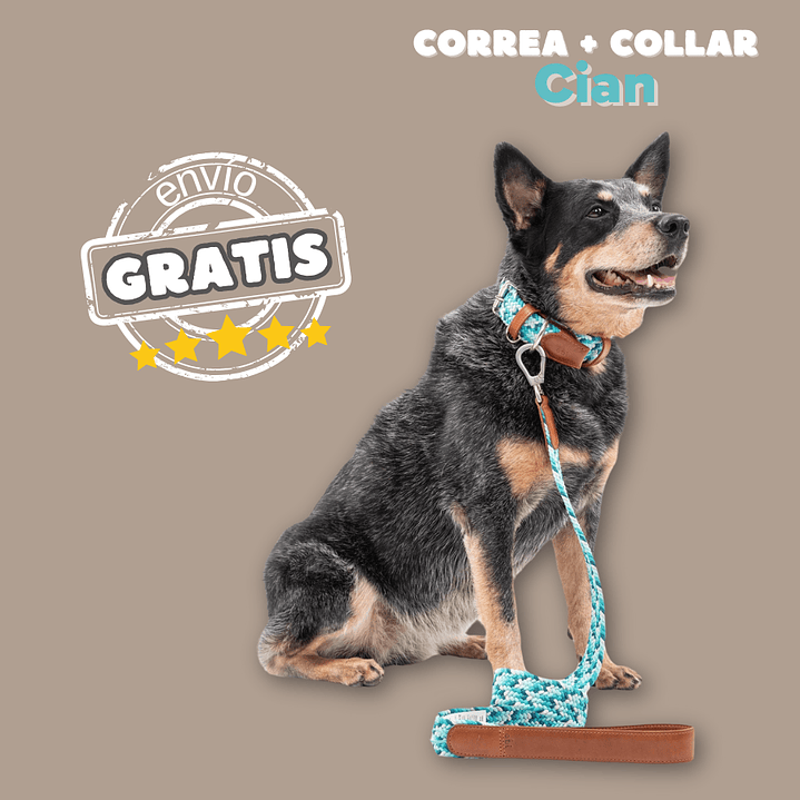 Combo trenzado Cian Collar + Correa perro 1