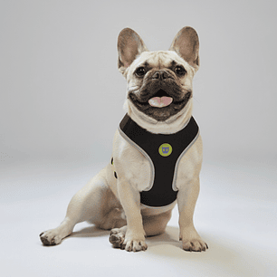 Pechera Airmesh Harness NOX para perros