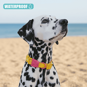 Collar Neopro® Lyra para perros