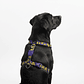 H-Harness Zmiley - Arnés en H para perros - Miniatura 1