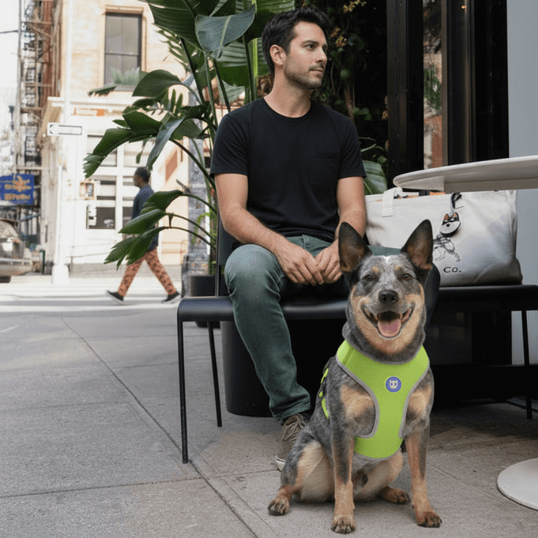 Pechera Airmesh Harness NOX LUMEN  para perros 7