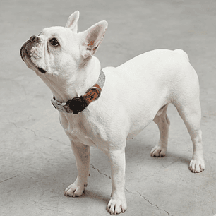 Collar para perros Suede Reebok x Zee.Dog