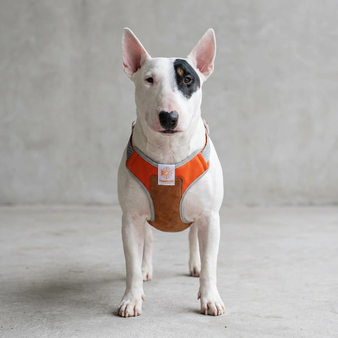 Pechera para perros Suede Reebok x Zee.Dog 1