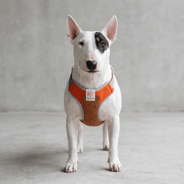 Pechera para perros Suede Reebok x Zee.Dog 1