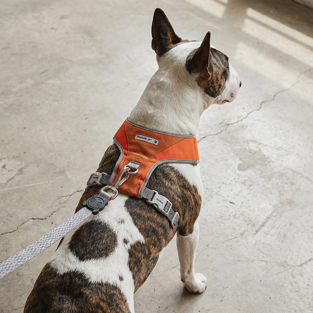 Pechera para perros Suede Reebok x Zee.Dog 3