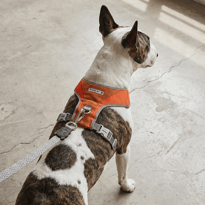 Pechera para perros Suede Reebok x Zee.Dog 3