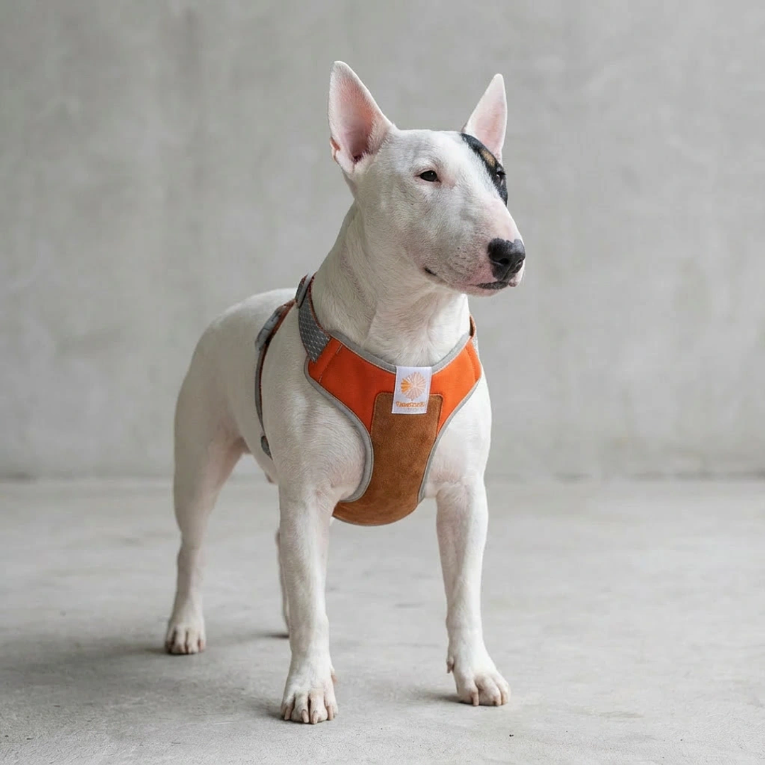 Pechera para perros Suede Reebok x Zee.Dog 7