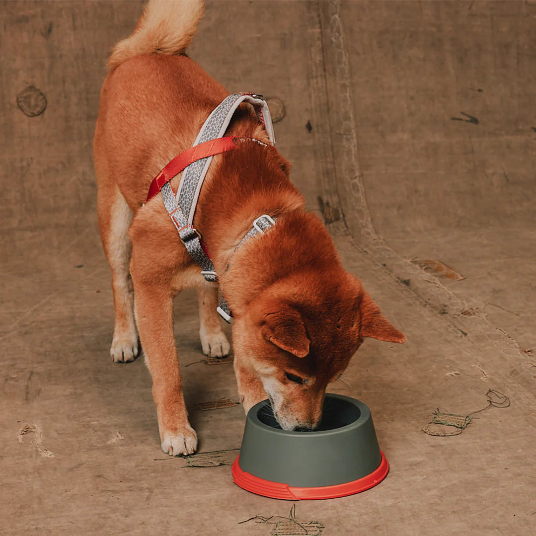 Bowl o comedero clásico Suede Reebok x Zee.Dog 7