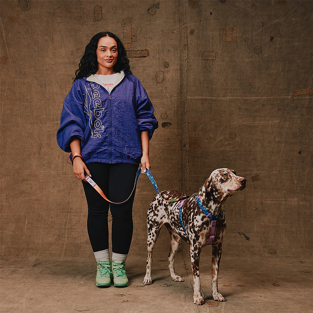 Arnés en H para perros trekk Reebok x Zee.Dog 3