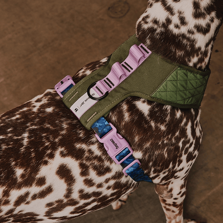 Pechera para perros Trekk Reebok x Zee.Dog 5