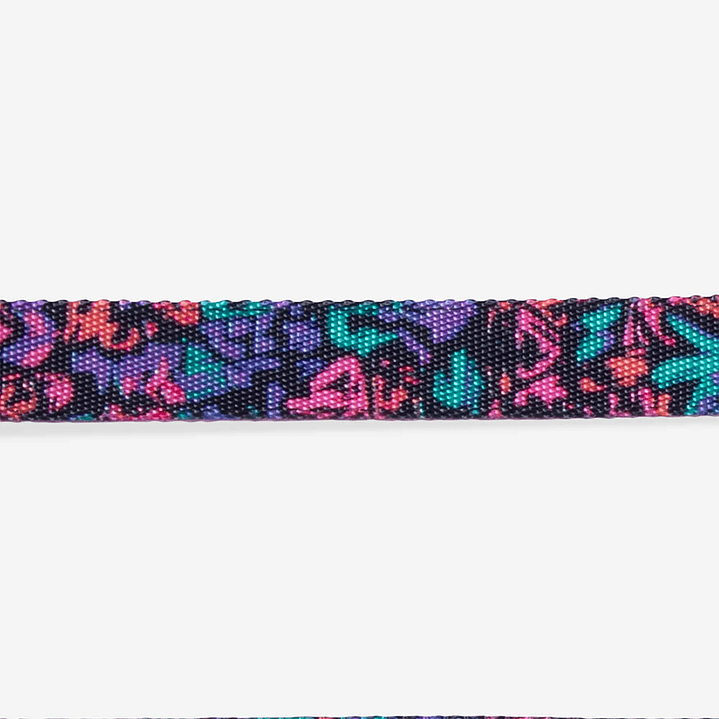 Collar para perros Aerobic Reebok x Zee.Dog 4