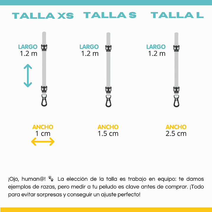 Correa para perros Aerobic Reebok x Zee.Dog 4