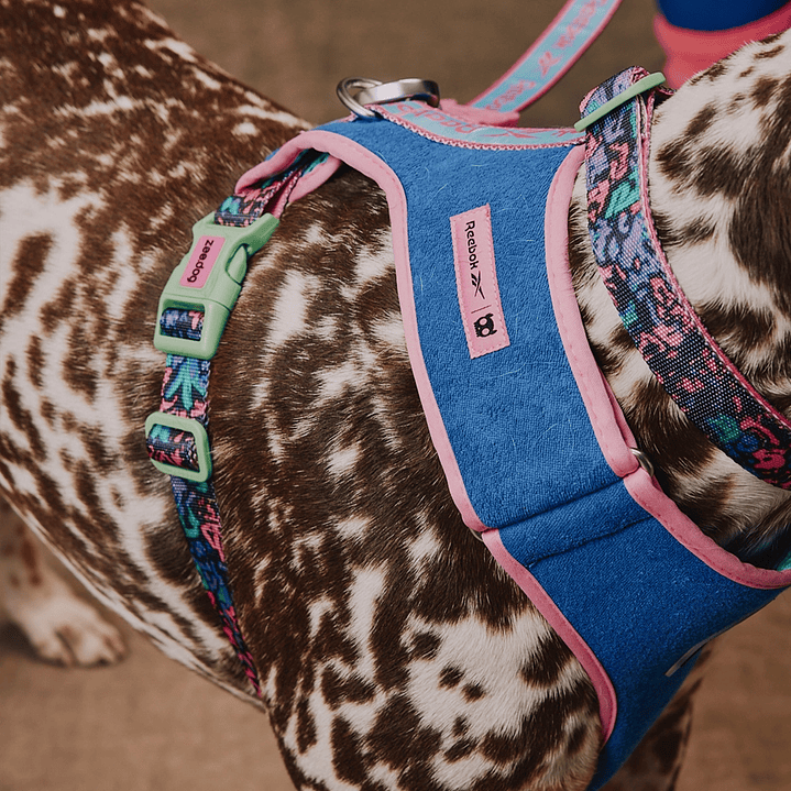Pechera para perros Aerobic Reebok x Zee.Dog 7