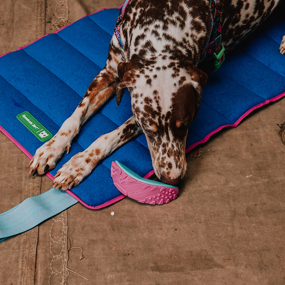 Juguete para morder Aerobic Boomerang para perros 1