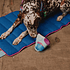 Juguete peluche para perros Aerobic freestyle Hi Reebok x Zee.Dog