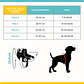 Arnés para perros Flyharness Gazzele - Miniatura 7