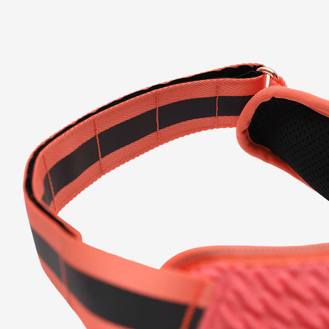 Arnés para perros Flyharness Gazzele 5