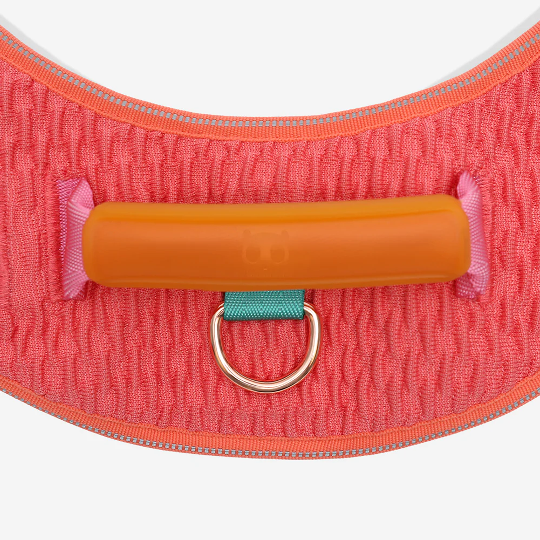 Arnés para perros Flyharness Gazzele 6