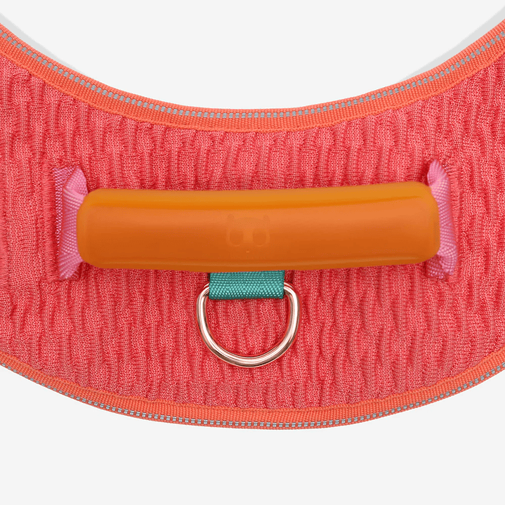 Arnés para perros Flyharness Gazzele 6