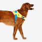 Arnés para perros Flyharness CMYK - Miniatura 1