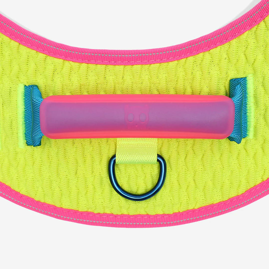 Arnés para perros Flyharness CMYK 5