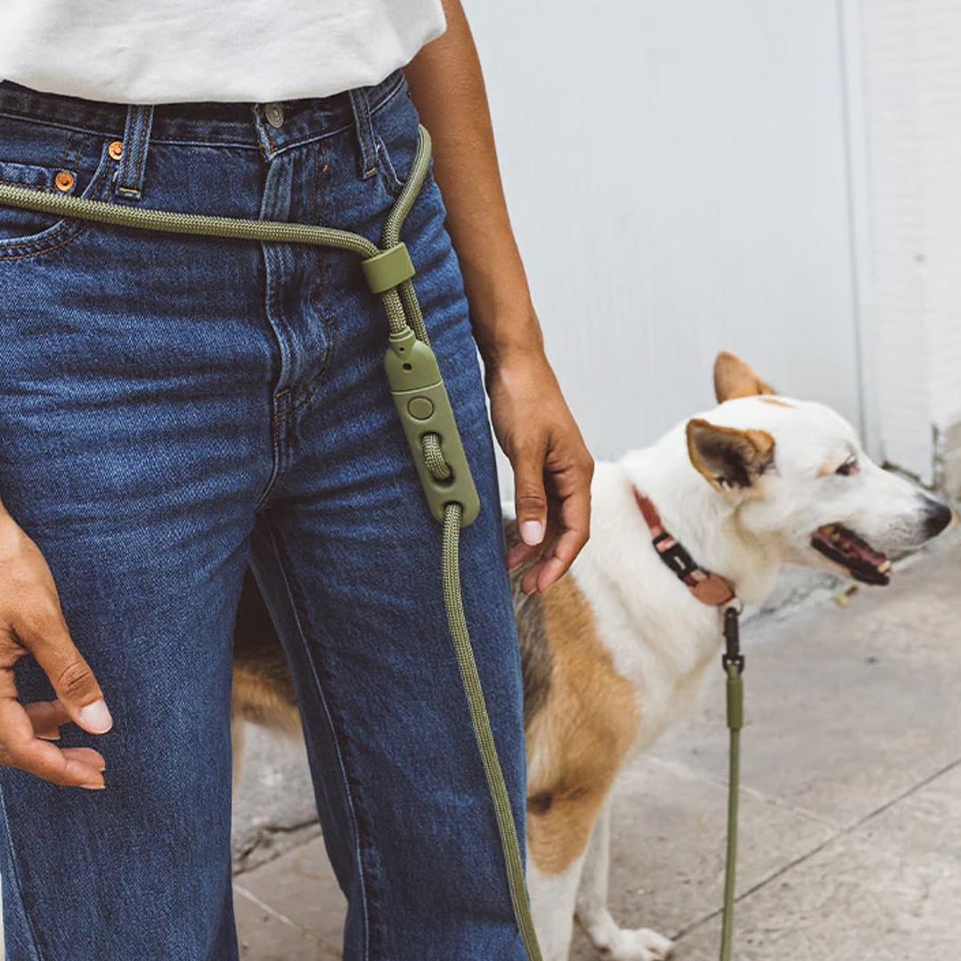 Correa para perros manoslibres Army Green 1