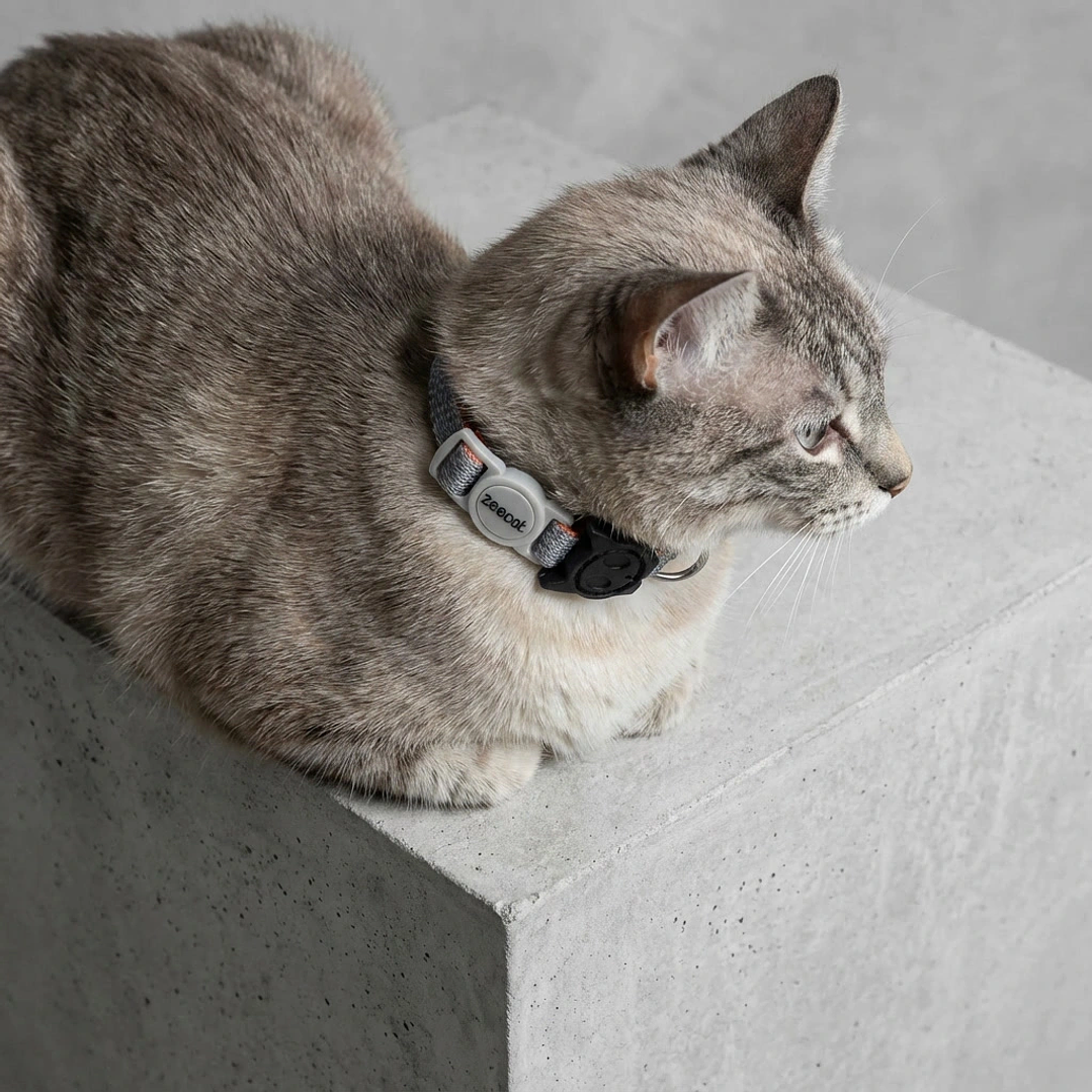 Collar para gato Suede Reebok x Zee.Dog 6