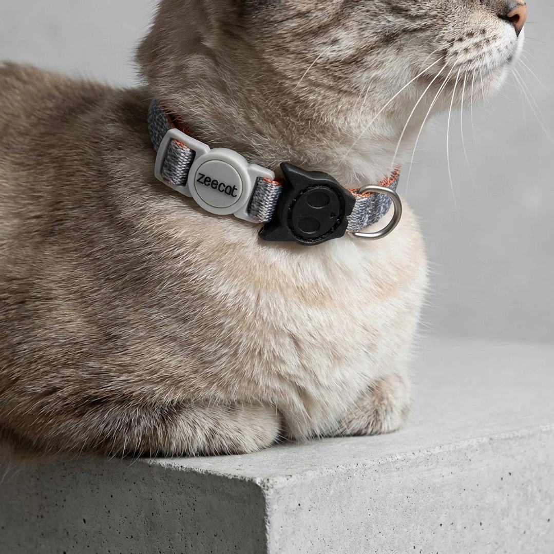 Collar para gato Suede Reebok x Zee.Dog 1