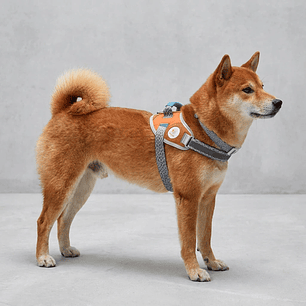 Flyharness - Arnés para perros Suede Reebok x Zee.Dog