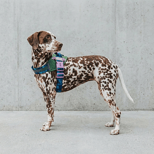 Flyharness - Arnés para perros Trekk Reebok x Zee.Dog