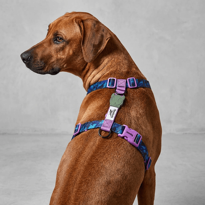 Arnés en H para perros trekk Reebok x Zee.Dog 1