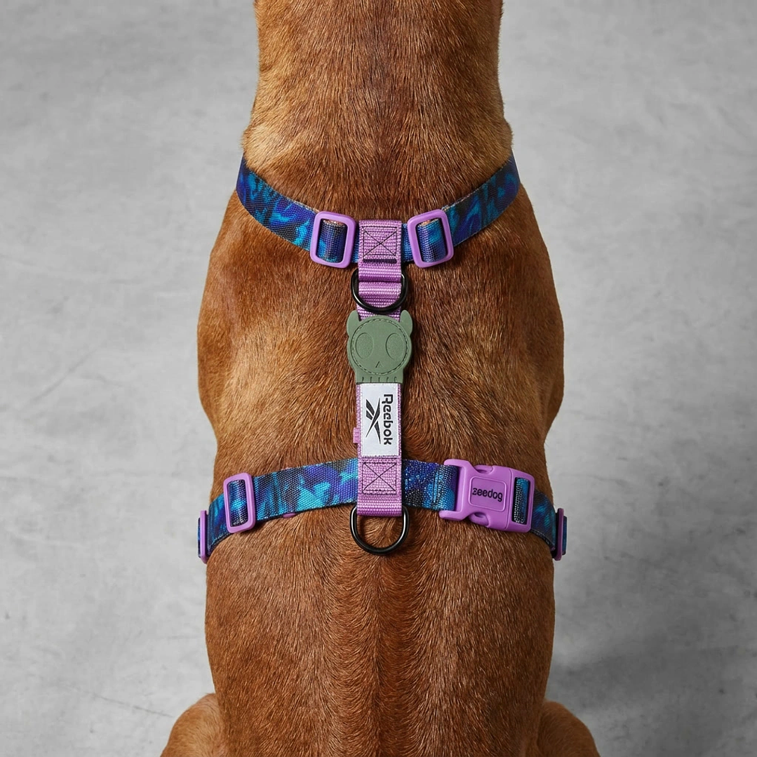Arnés en H para perros trekk Reebok x Zee.Dog 5