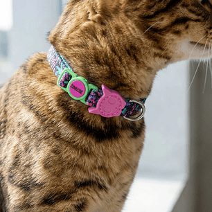 Collar para gato Aerobic Reebok x Zee.Dog