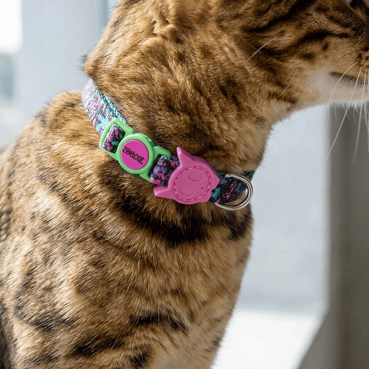 Collar para gato Aerobic Reebok x Zee.Dog 1