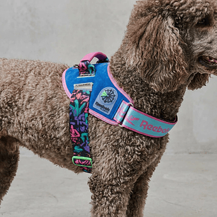 Flyharness - Arnés para perros Aerobic Reebok x Zee.Dog