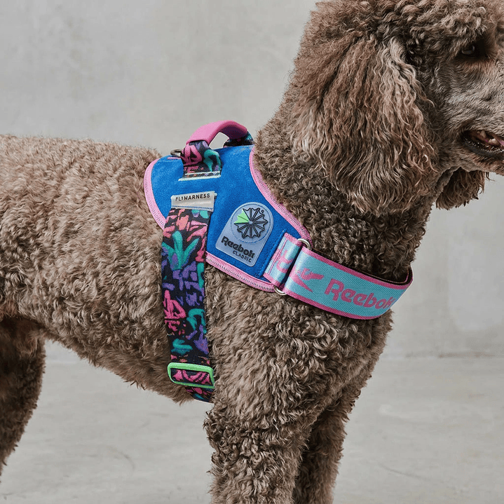 Flyharness - Arnés para perros Aerobic Reebok x Zee.Dog 1