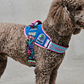Flyharness - Arnés para perros Aerobic Reebok x Zee.Dog - Miniatura 1