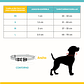 Collar para perros Error #404 - Miniatura 5