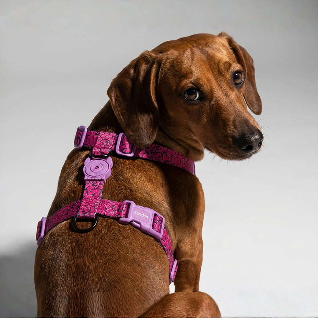 H-Harness Brain - Arnés en H para perros 1