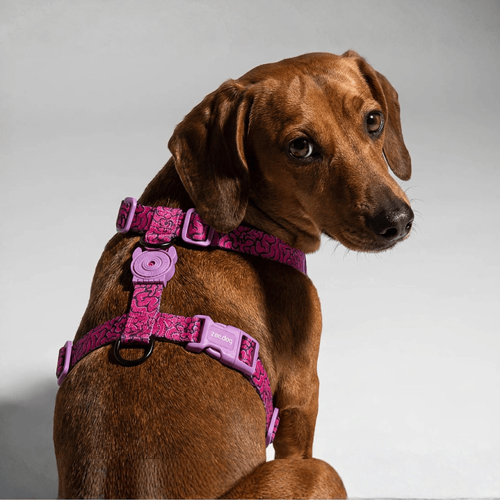 H-Harness Brain - Arnés en H para perros 1