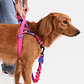 Arnés anti-tirones para perro Error #500 / Softer Walk Harness - Miniatura 1