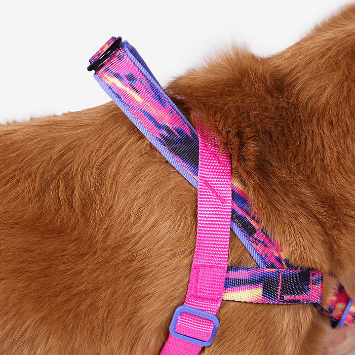 Arnés anti-tirones para perro Error #500 / Softer Walk Harness 3