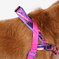 Arnés anti-tirones para perro Error #500 / Softer Walk Harness - Miniatura 3