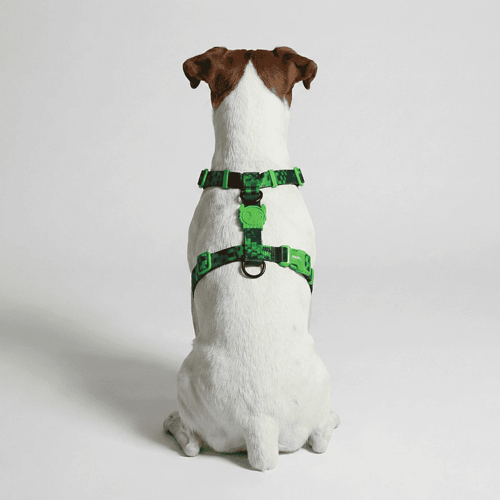 Arnés en H para perros Error #410 5