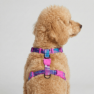 Arnés en H para perros Error #502