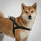 Arnés anti-tirones para perro Gotham / Softer Walk Harness - Miniatura 1