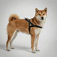 Arnés anti-tirones para perro Gotham / Softer Walk Harness - Miniatura 3