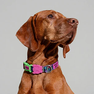 Collar para perros Aerobic Reebok x Zee.Dog