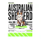 Camiseta Estampada Australian Shepherd - Oversize - Miniatura 2