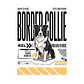 Camiseta Estampada Border Collie - Oversize - Miniatura 2